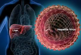 Understanding Viral Hepatitis