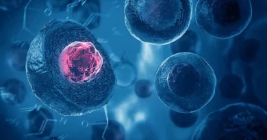 Cancer Stem Cells Market Growth